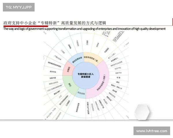 青训体系创新发展路径探讨与实践案例分析 青训体系创新发展路径探讨与实践案例分析