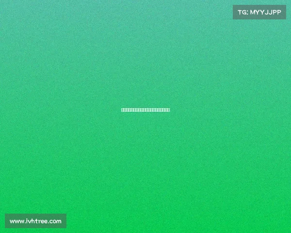 法甲球队中的非洲杯明星球员解析与表现分析